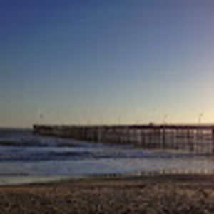 Meet your Posher, Abigail